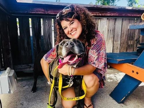 Photo of Luna, adoptable Pit Bull Terrier in Santa Barbara, California
