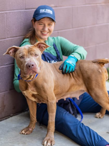 Photo of Eldora, adoptable dog in Chamblee, Georgia