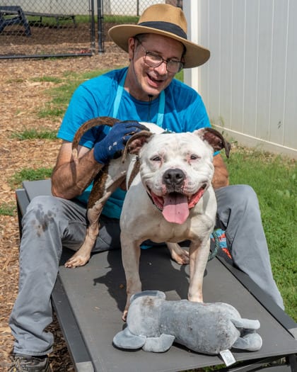 Photo of Zebra Stripe, adoptable dog in Chamblee, Georgia