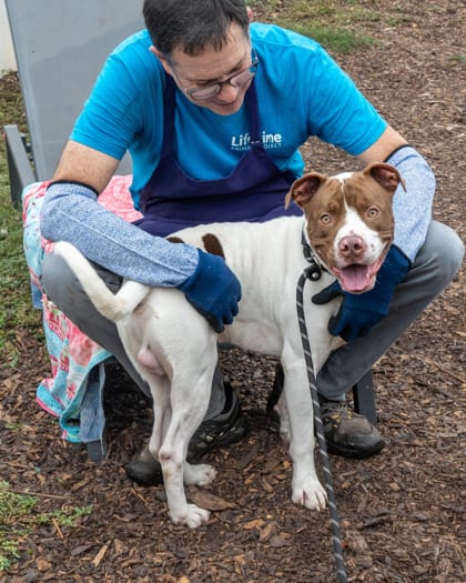Photo of JR, adoptable dog in Chamblee, Georgia