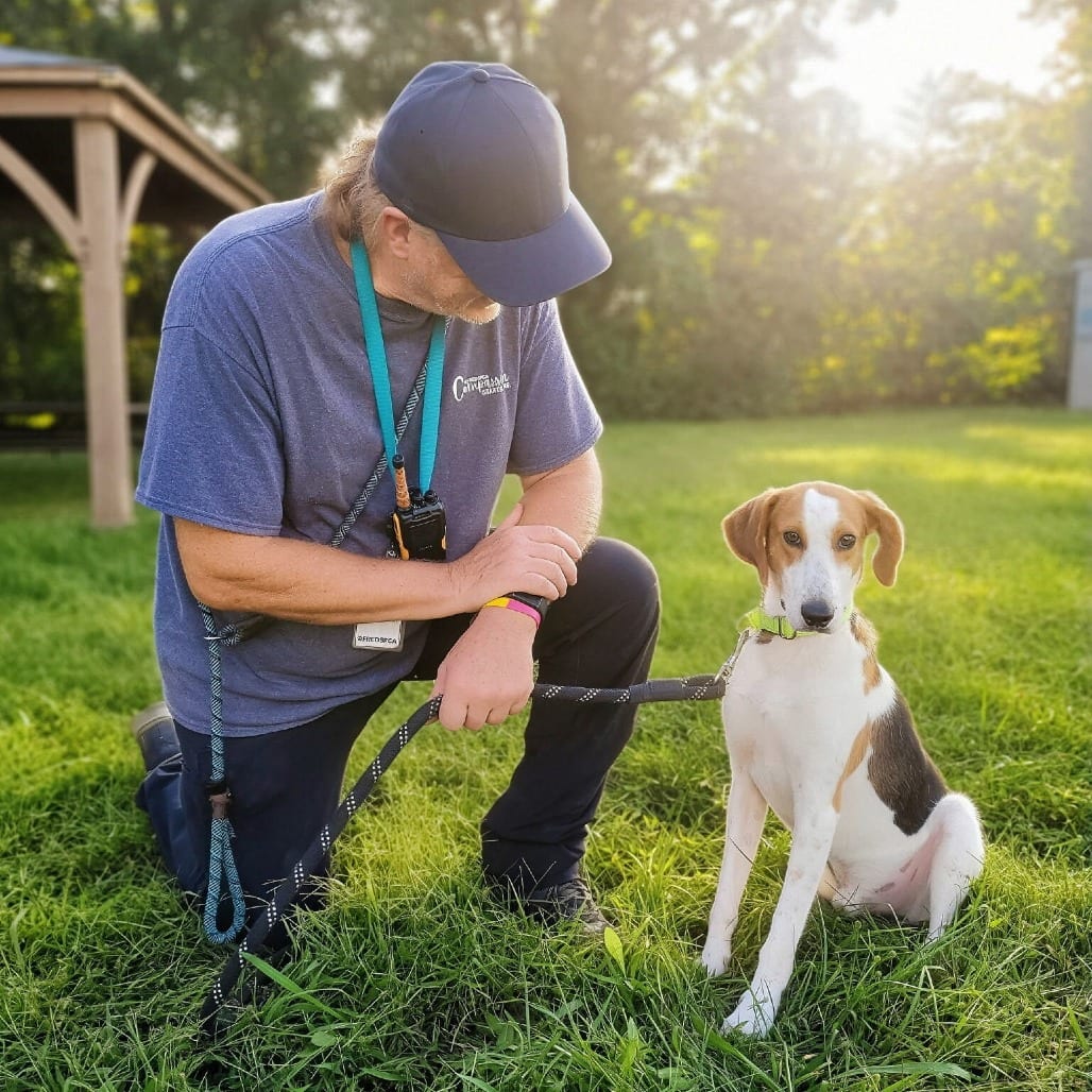 Photo of Pistachio, adoptable Mixed Breed (Medium) in Fredericksburg, Virginia