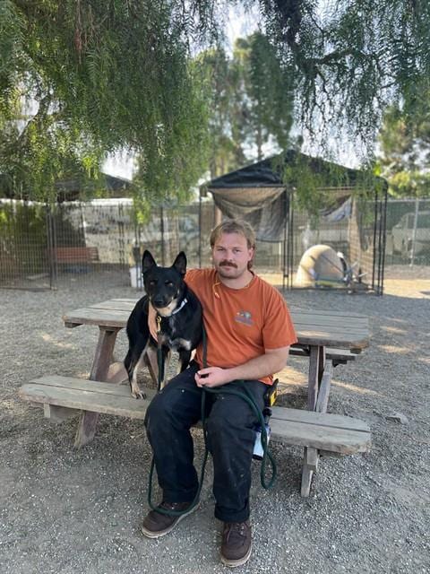 Photo of Drake, adoptable Australian Kelpie in Lompoc, California