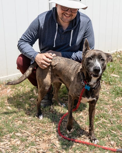 Photo of Vertical, adoptable dog in Chamblee, Georgia