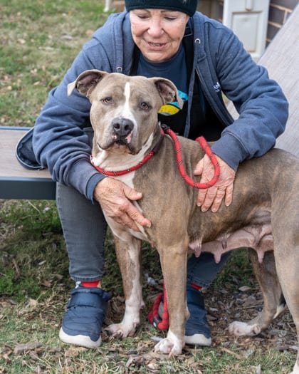 Photo of Ramona, adoptable dog in Chamblee, Georgia