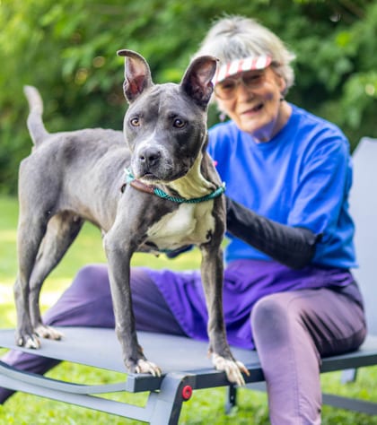 Photo of Connie, adoptable dog in Chamblee, Georgia