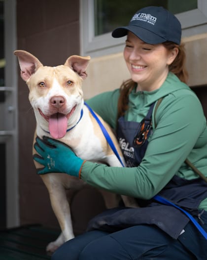 Photo of Brinley, adoptable dog in Chamblee, Georgia