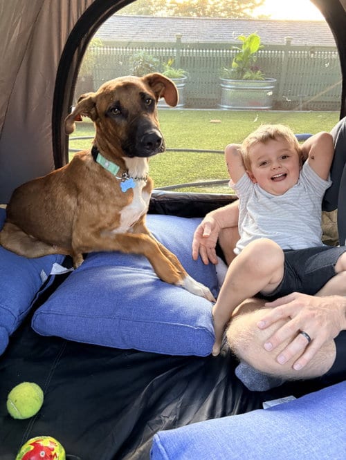 Photo of Rumi, adoptable Black Mouth Cur in Seattle, Washington
