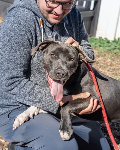 Photo of Vespera, adoptable dog in Chamblee, Georgia
