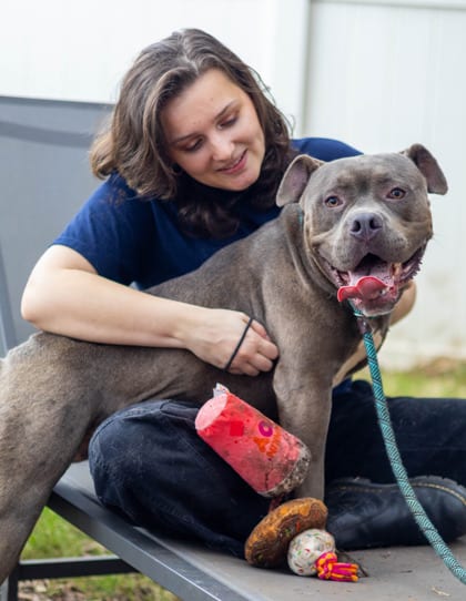 Photo of Mr.Munyun, adoptable dog in Chamblee, Georgia