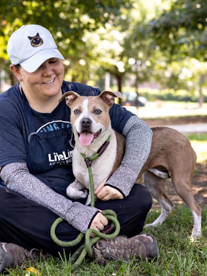 Photo of Annora- IN FOSTER, adoptable dog in Chamblee, Georgia
