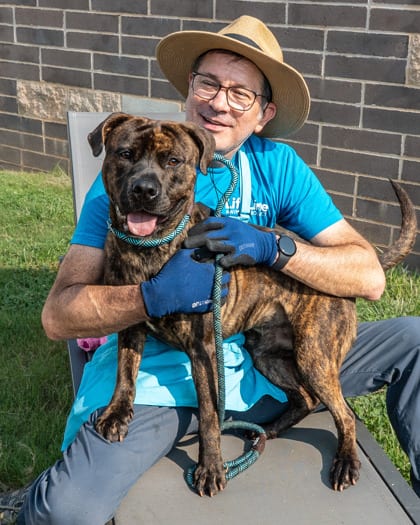 Photo of Honcho, adoptable dog in Chamblee, Georgia