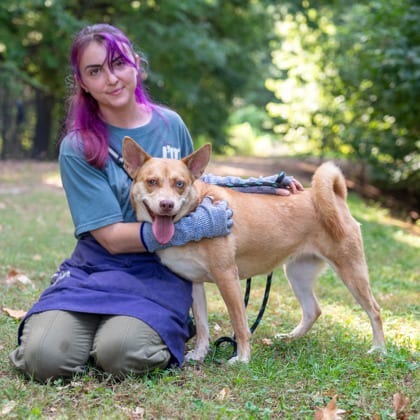 Photo of Skyla, adoptable dog in Chamblee, Georgia
