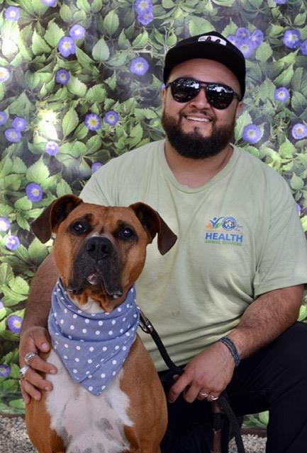 Photo of Clarence, adoptable Boxer in Santa Barbara, California