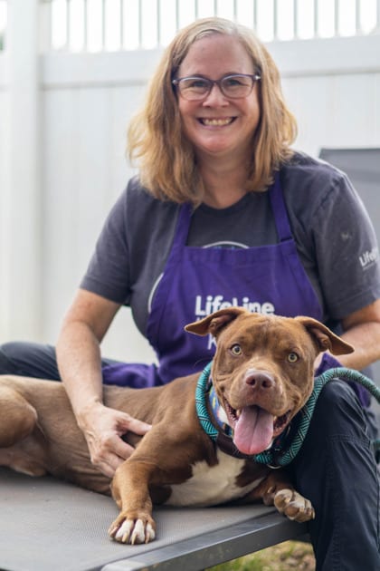 Photo of Anders, adoptable dog in Chamblee, Georgia