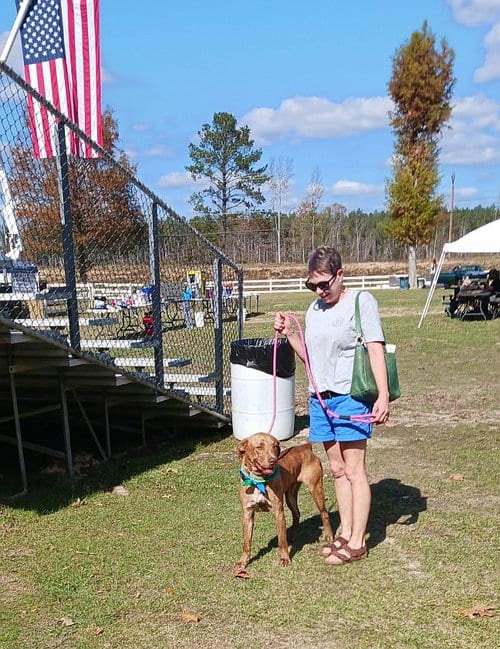 Photo of Tucker, adoptable Labrador Retriever in Monticello, Mississippi