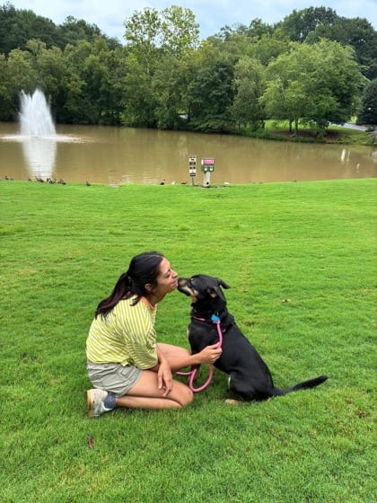Photo of Roxana, adoptable dog in Chamblee, Georgia