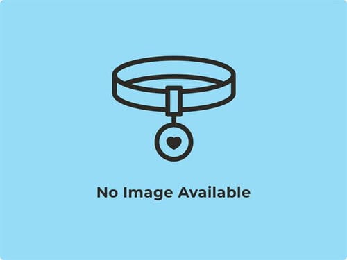 Photo of Barnabe, adoptable Rottweiler in Phoenix, Arizona