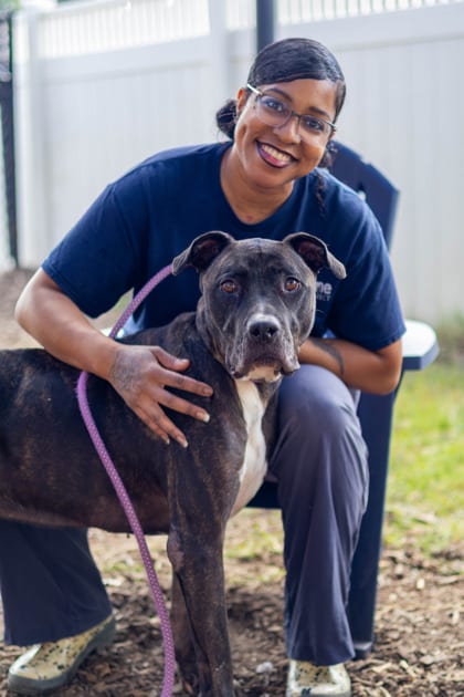 Photo of Maxxi, adoptable dog in Chamblee, Georgia
