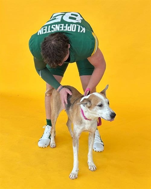 Photo of Babbette, adoptable Black Mouth Cur in Waco, Texas