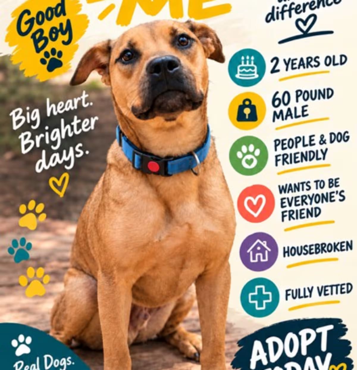Photo of Arlo, adoptable Labrador Retriever in Roswell, Georgia