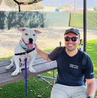Photo of Lil Bit, adoptable Pit Bull Terrier in Santa Barbara, California