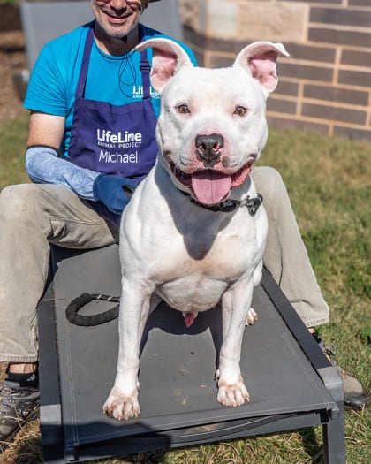 Photo of Brogan, adoptable dog in Chamblee, Georgia