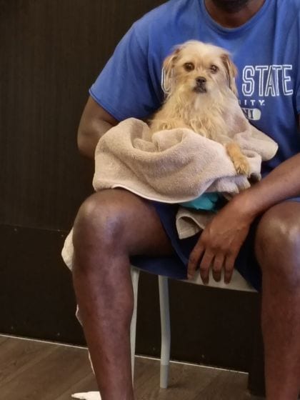 Photo of Monna, adoptable dog in Atlanta, Georgia