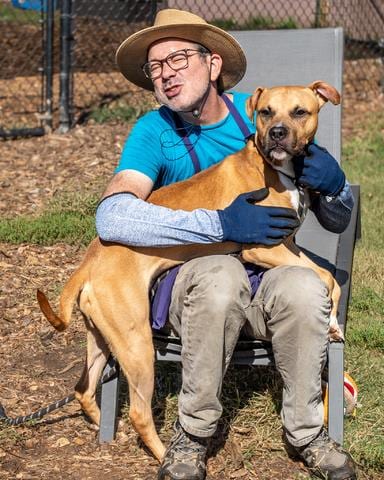 Photo of Rock, adoptable dog in Chamblee, Georgia
