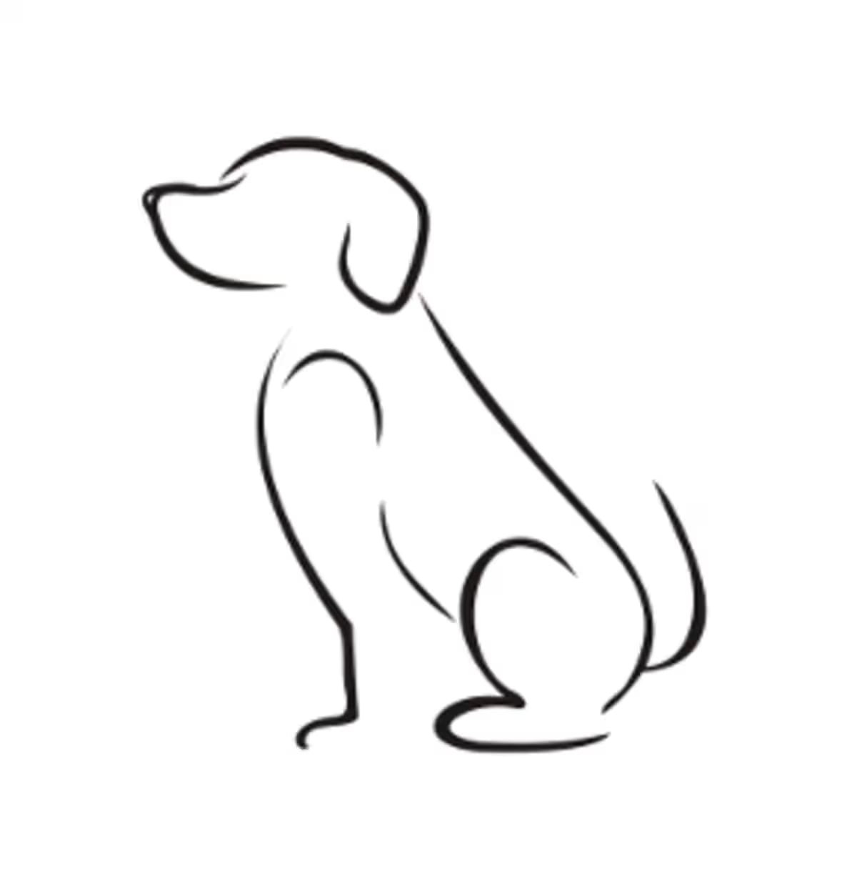 Photo of CCAN-Stray-1567_2, adoptable Golden Retriever in Ringgold, Georgia