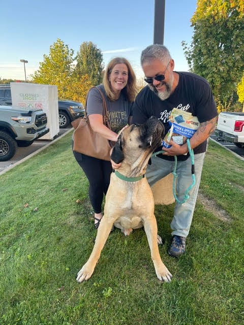 Photo of Gus Gus, adoptable English Mastiff in Chambersburg, Pennsylvania