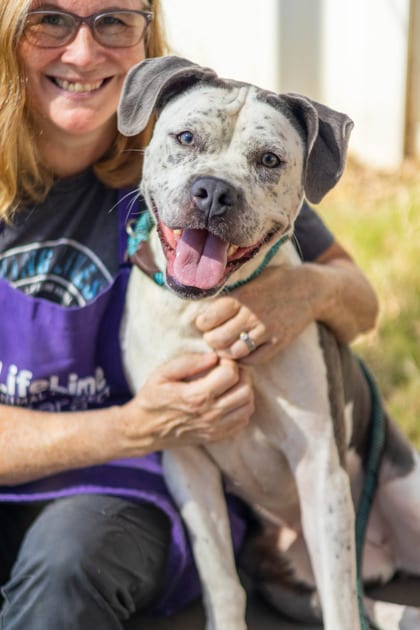 Photo of Wynette, adoptable dog in Chamblee, Georgia