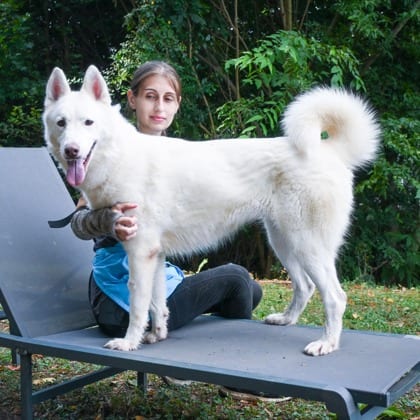 Photo of Xenia, adoptable dog in Chamblee, Georgia