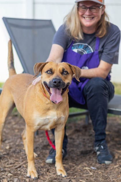 Photo of Kaori, adoptable dog in Chamblee, Georgia