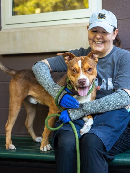 Photo of Esteban, adoptable dog in Chamblee, Georgia