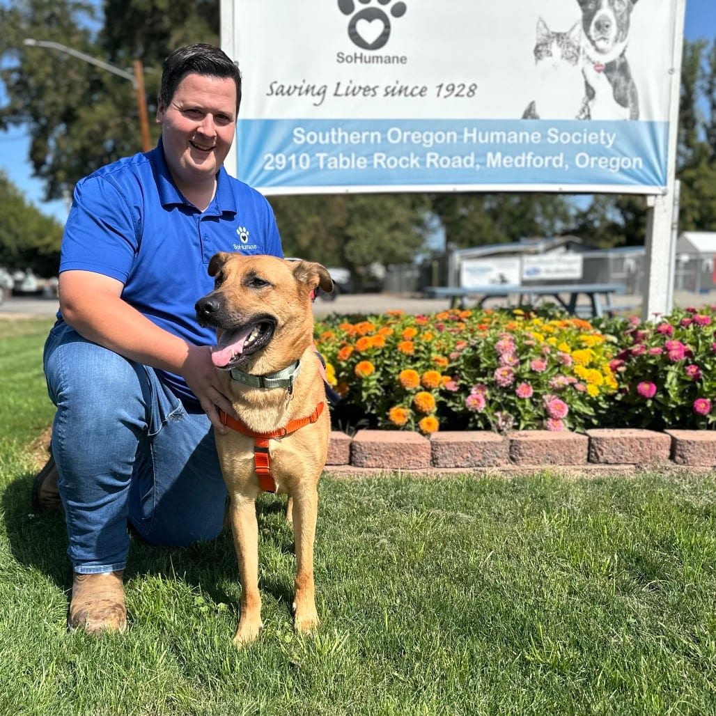 Photo of Rolo, adoptable Mixed Breed (Large) in Medford, Oregon