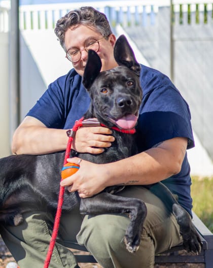 Photo of Chopper, adoptable dog in Chamblee, Georgia