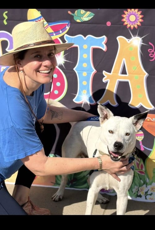 Photo of Scotty, adoptable Queensland Heeler in Santa Barbara, California