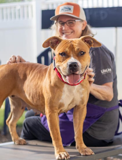 Photo of Goodest Girl, adoptable dog in Chamblee, Georgia