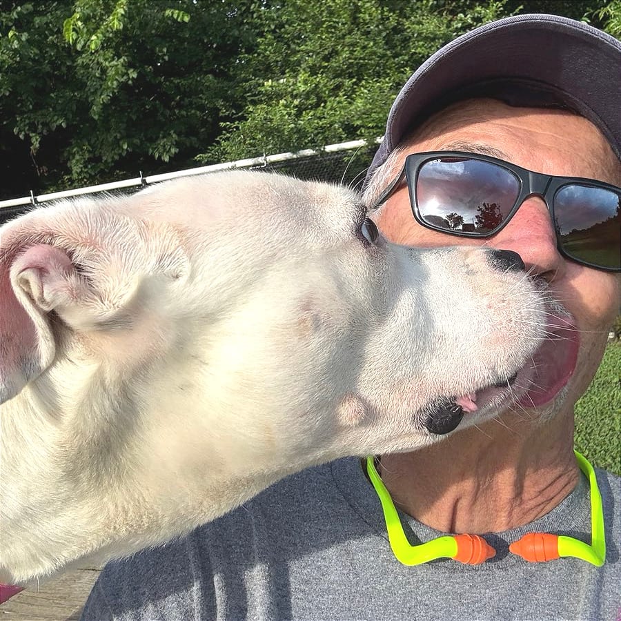 Photo of Misha, adoptable Mixed Breed (Medium) in Chattanooga, Tennessee