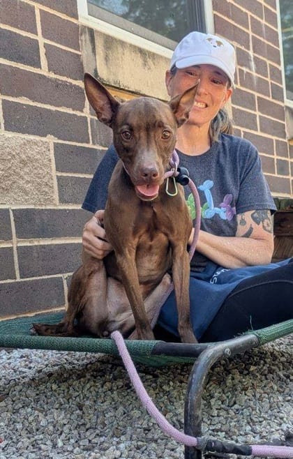 Photo of Serenity, adoptable dog in Chamblee, Georgia