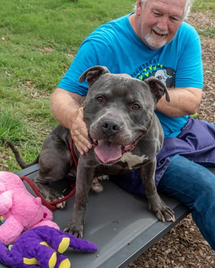 Photo of Pacifica, adoptable dog in Chamblee, Georgia