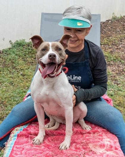 Photo of Tatiana, adoptable dog in Chamblee, Georgia