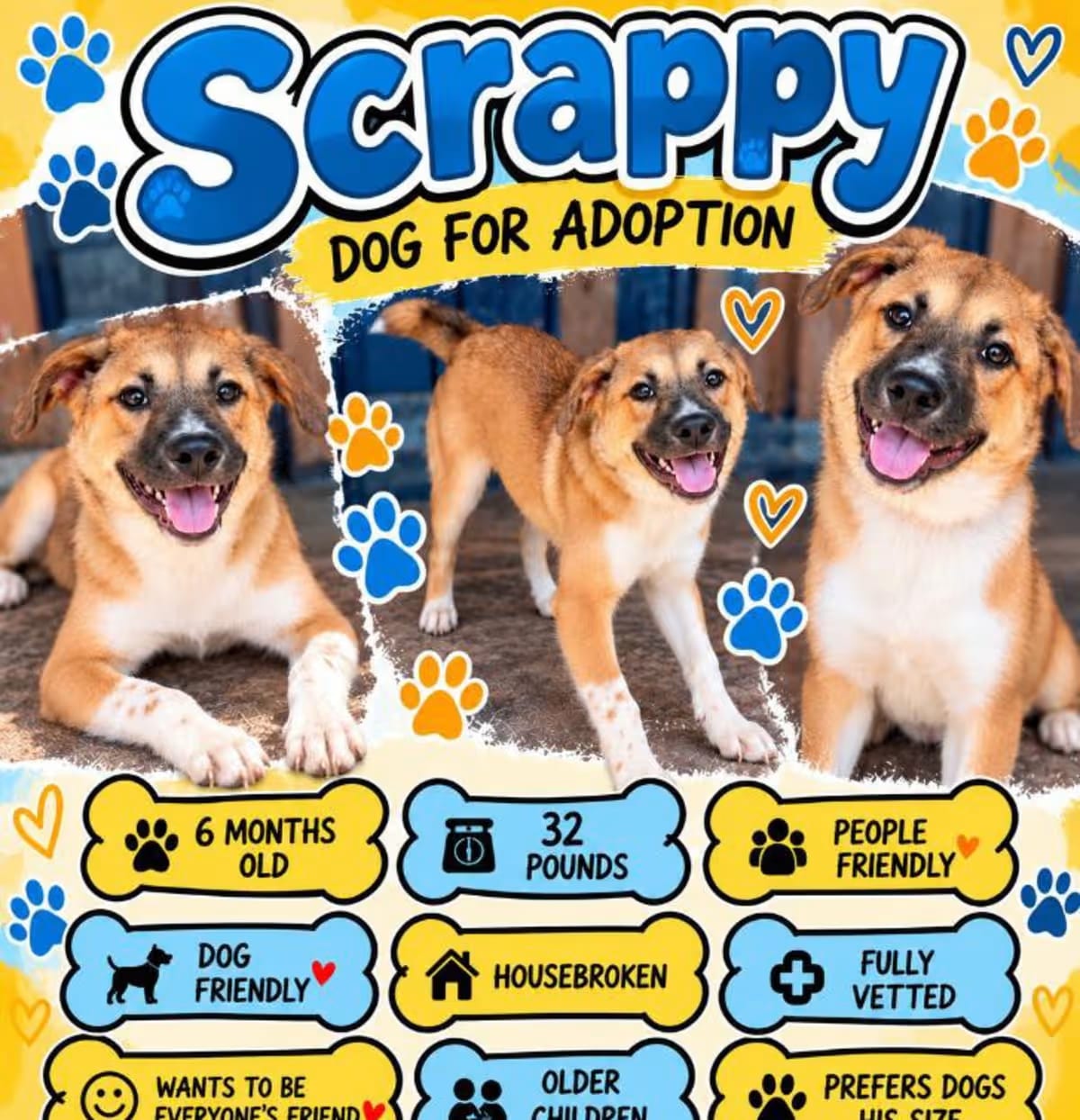 Photo of Scrappy, adoptable Mixed Breed (Medium) in Roswell, Georgia