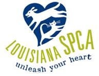 Photo of Joseph V., adoptable Terrier in New Orleans, Louisiana