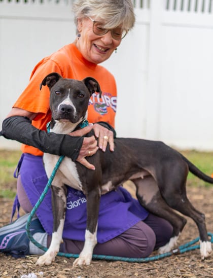 Photo of Bridget, adoptable dog in Chamblee, Georgia
