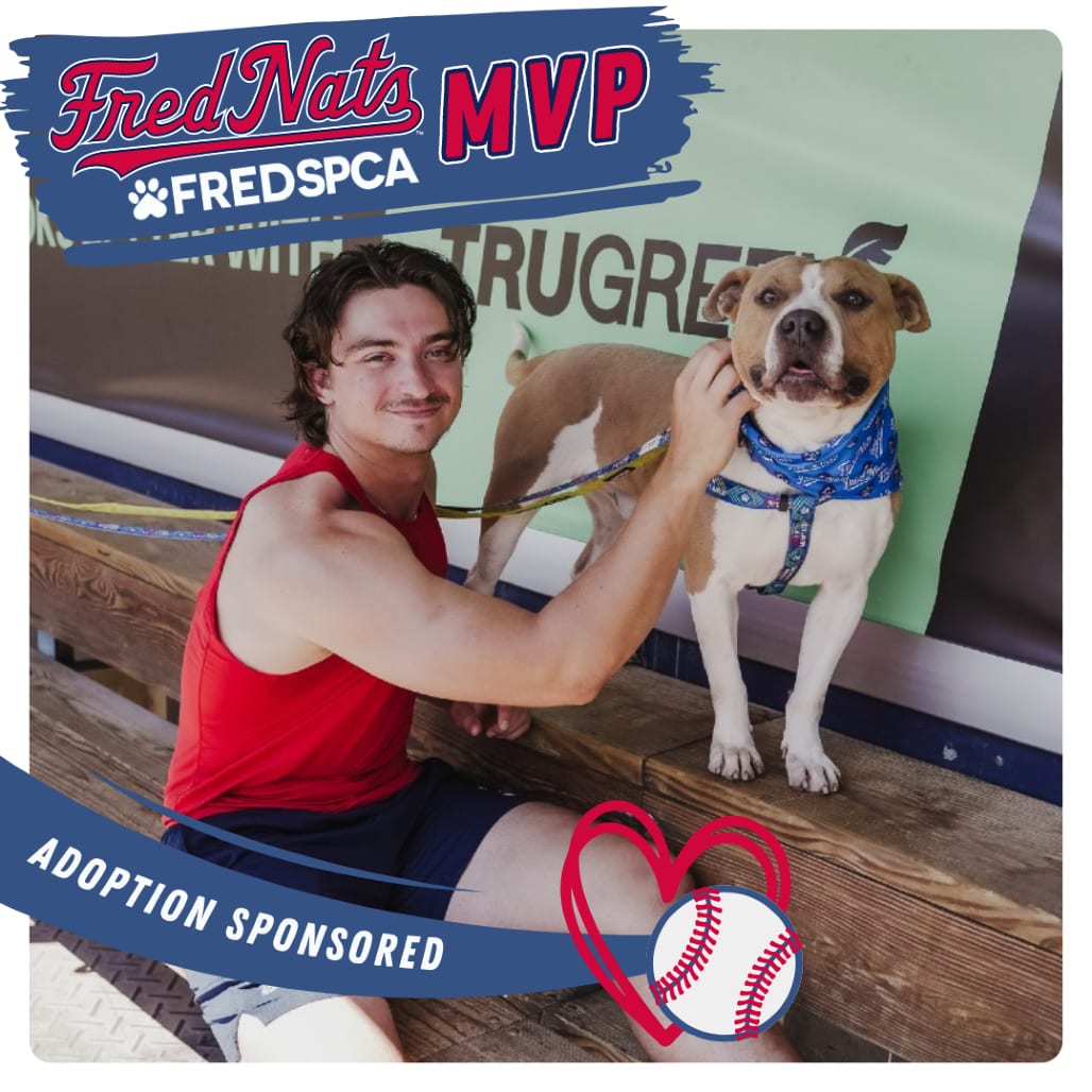 Photo of Buster, adoptable Mixed Breed (Medium) in Fredericksburg, Virginia