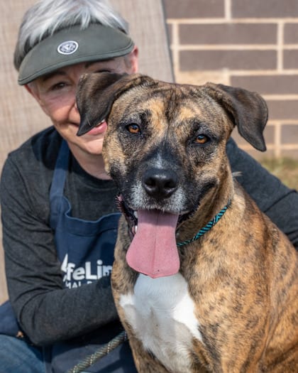 Photo of Danica, adoptable dog in Chamblee, Georgia