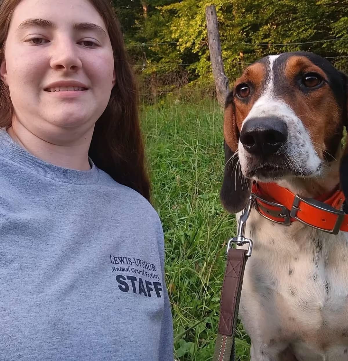 Photo of Jed, adoptable Treeing Walker Coonhound in Frederick, Maryland