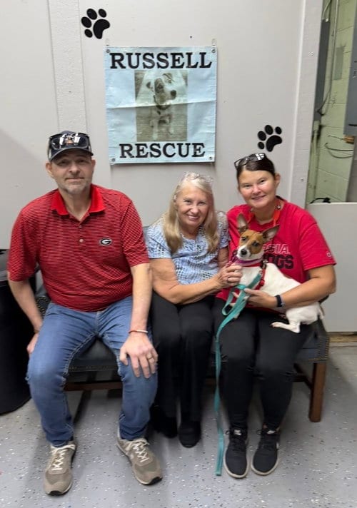 Photo of Sydney, adoptable Terrier in Columbia, Tennessee