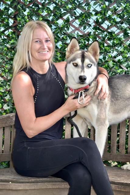 Photo of Dash, adoptable Siberian Husky in Santa Barbara, California